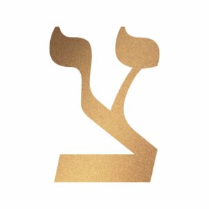 Der hebräische Buchstabe Tzaddi